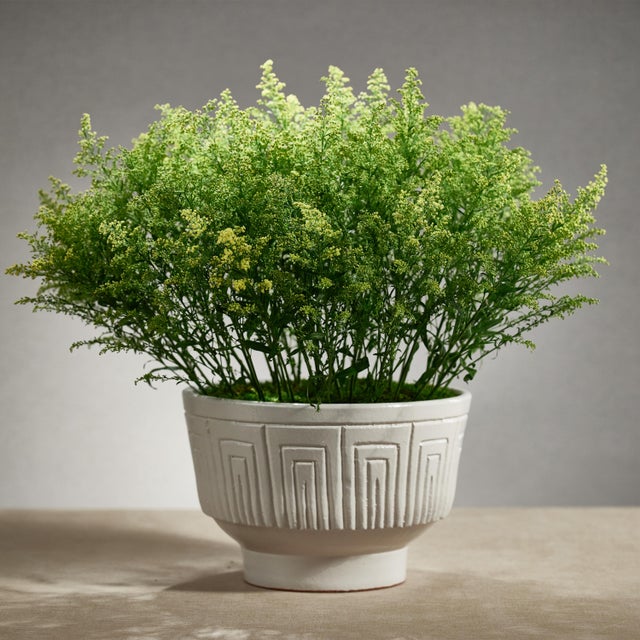 Intricately detailed, our round white ceramic planter will fill any space in your home or office with life and elegance....