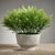 Intricately detailed, our round white ceramic planter will fill any space in your home or office with life and elegance....