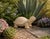 Vintage Cast Stone Turtle Garden Statue For Sale - Image 9 of 12