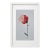 Framed Organic Modern Minimalist Flower Study | Botanical Painting | Herbarium Wall Art For Sale