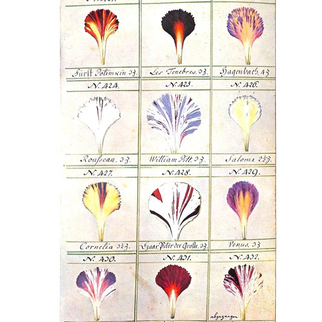 "Flowers in History" 1970 Coats, Peter For Sale - Image 9 of 12