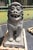 20th Century Foosball Dogs by Louis Guingot, 1890s, Set of 2 For Sale - Image 4 of 11