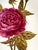 Gold Antique 1880 Minton G4419 Set 6 Hand Painted Rose Gold Platinum Aesthetic Plates For Sale - Image 8 of 16