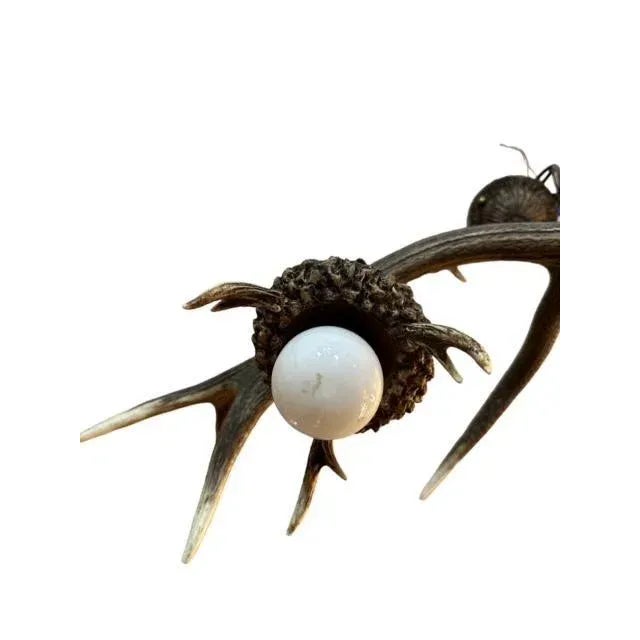 1940s Antler Chandelier For Sale - Image 4 of 6