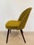 Mid-Century Dining Chair from Antonin Suman, Czechoslovakia, 1960s For Sale - Image 4 of 10