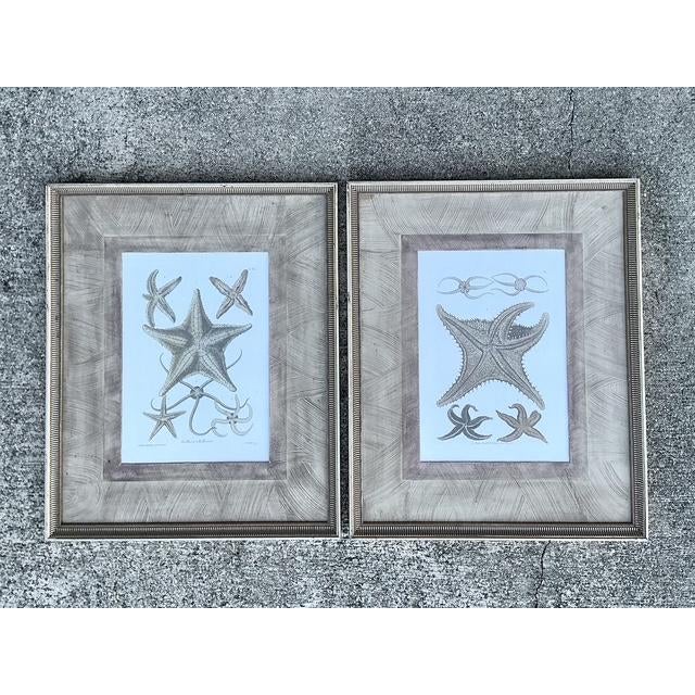Vintage John Richard Starfish Prints - Set of 2 For Sale In West Palm - Image 6 of 12
