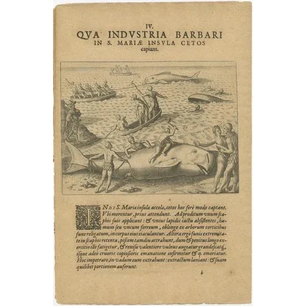 De Bry, The Whale Harvest of St. Mary's Island, Copper Engraving, 1601 For Sale - Image 6 of 7