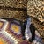1940s Vintage Restored Leopard Print Arm / Lounge Chairs a Pair For Sale - Image 5 of 11