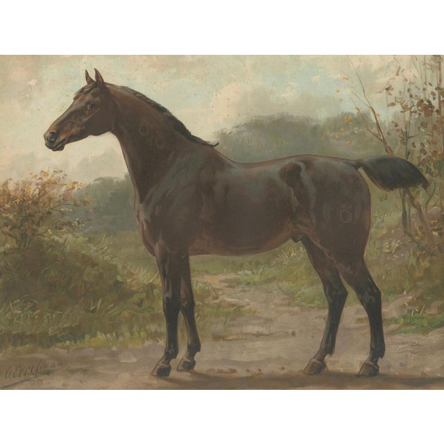 After Eerelman, Oldenburg Horse, 1898, Lithograph For Sale - Image 4 of 9