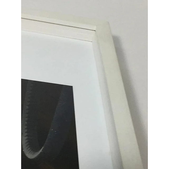 Andrew Moore, Olds In the Sheep Barn, Sioux County, Nebraska, 2014, Photograph For Sale - Image 3 of 8