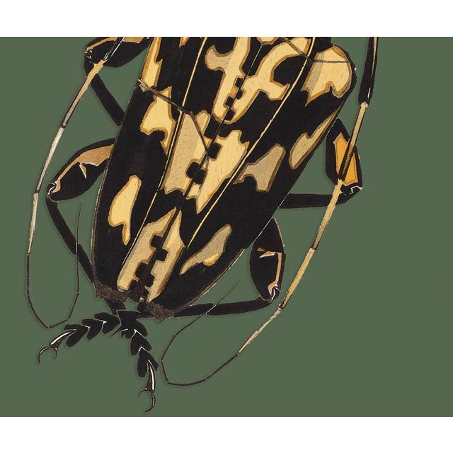 The series was produced by CFA editions from original pochior prints by E.A. Seguy. The series of insects that Seguy...