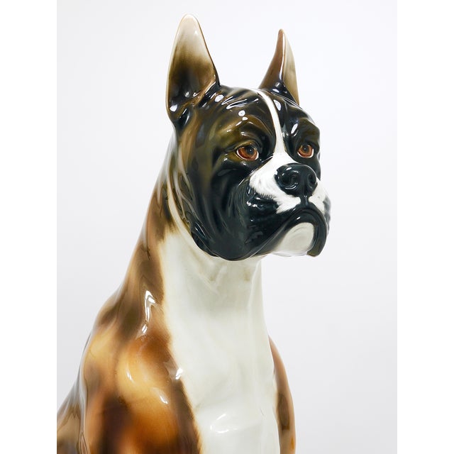 Ceramic Boxer Dog Life-Size Majolica Statue Sculpture in Glazed Ceramic, Italy, 1970s For Sale - Image 7 of 18