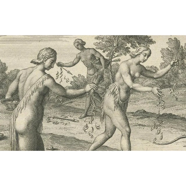 Picart, Florida Women Mourning Their Husbands in Ritual Service, 1734, Print For Sale - Image 3 of 10