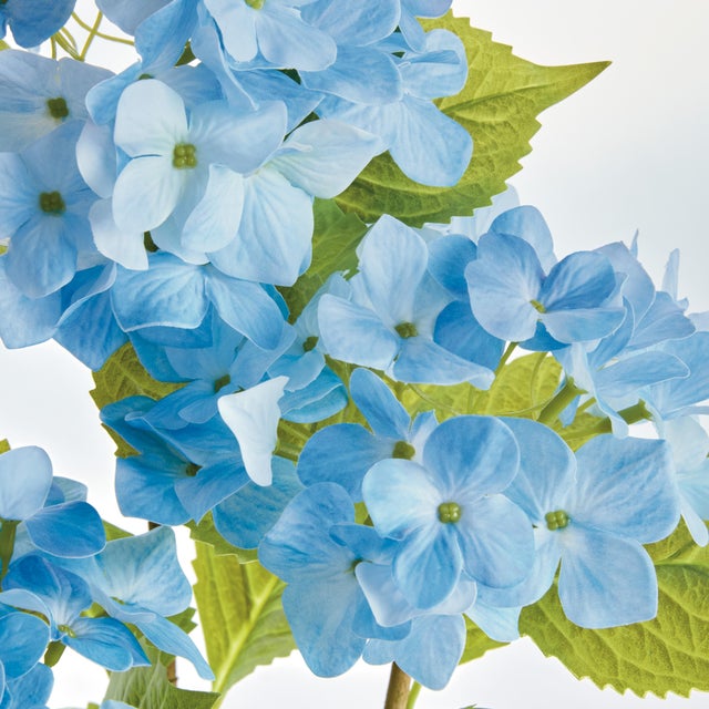 The Hydrangea Dropin is an incredible representation of true botanicals in feel, color and form. Place in a feature bowl,...