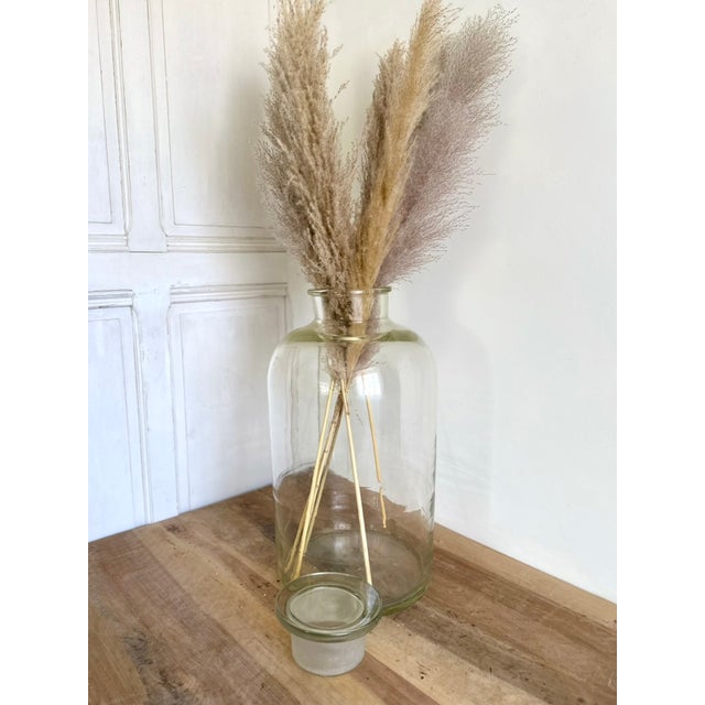 Glass French Laboratory Glass Storage Jar with Fitted Glass Stopper, 1920s For Sale - Image 7 of 16