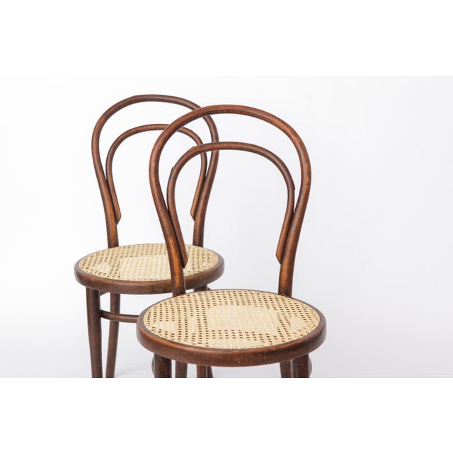 Wood Antique Bentwood Chairs from Gebrüder Thonet, 1890s, Set of 2 For Sale - Image 7 of 12
