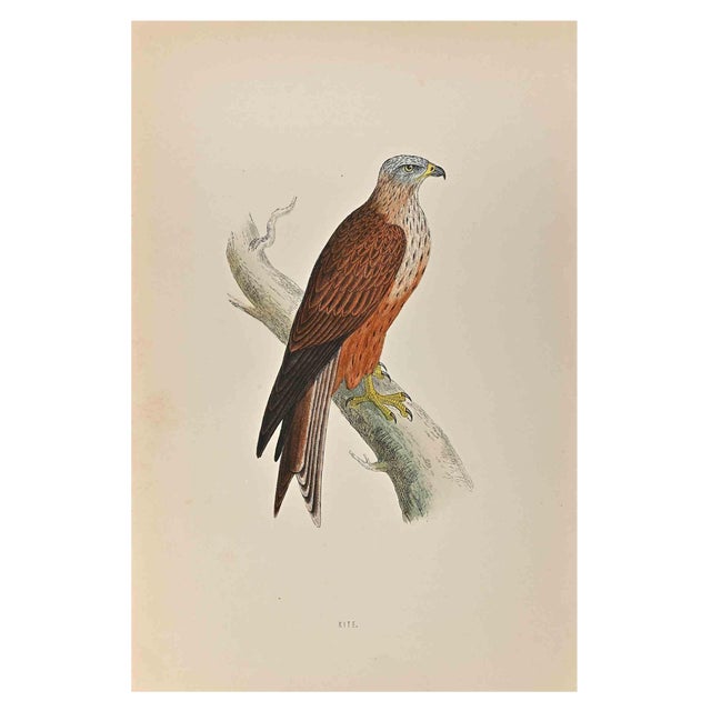 Alexander Francis Lydon, Kite, Woodcut Print, 1870 For Sale