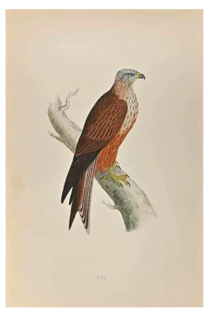 Alexander Francis Lydon, Kite, Woodcut Print, 1870