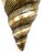 Vintage Oversized Brass Conch Shell Wall Pocket / Planter – Coastal / Hollywood Regency For Sale In Houston - Image 6 of 10