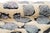 A quiet field bordered by texture on either side. This piece plays with contrast in its layout: two mosaic-like bands of...