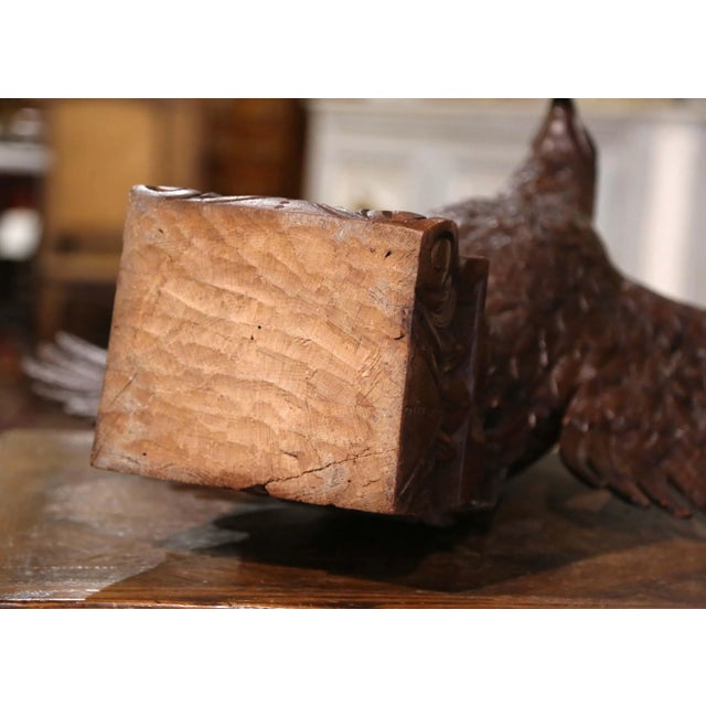 Early 19th Century French Carved Oak Imperial Eagle Sculpture For Sale - Image 12 of 12