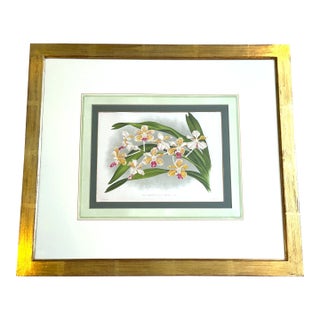 A. Goossens 1880 Antique Botanical Color Lithograph of Vanda Tricolor Hoveae For Sale