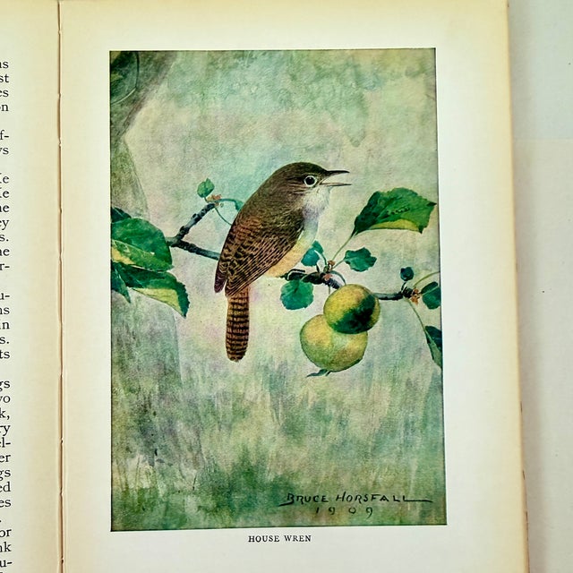 Paper Antique American Bird Study Nature Books, 1909-1935, a Group of Four For Sale - Image 7 of 10