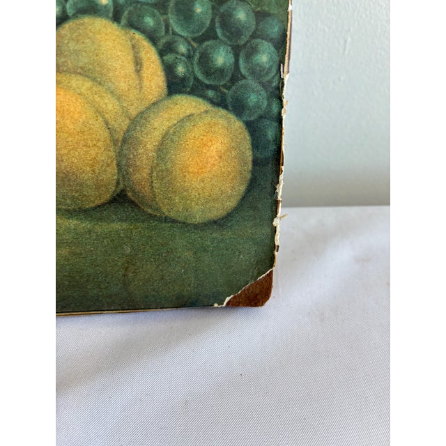 Vintage Still Life Fruit Print on Wood Panel For Sale - Image 10 of 10