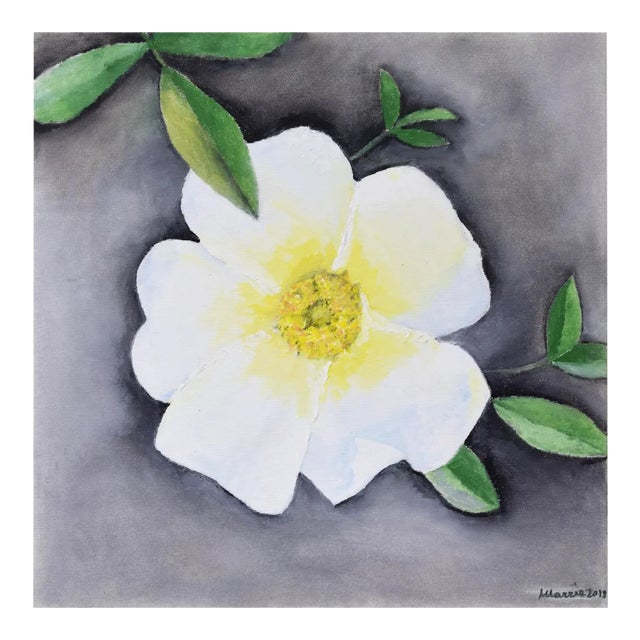 Rosa Bracteata - Original Oil on Canvas by Marzia Trinca - 2019 2019 For Sale
