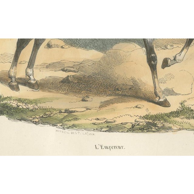 Napoleon Bonaparte on Horseback, 1843, Print For Sale - Image 3 of 10