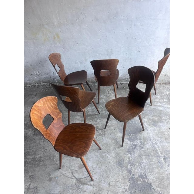 1950s Plywood Dining Chairs from Baumann, France, 1950s, Set of 6 For Sale - Image 5 of 9