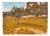 Unknown, Rural Landscape, 1980s, Oil on Canvas For Sale