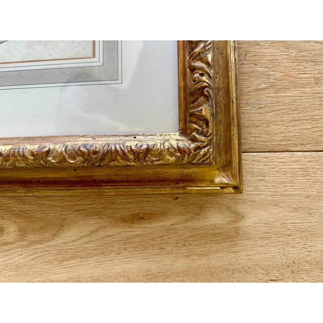 Dennis & Leen Botanical Print With Gilded Frame – DL-Art 42 For Sale - Image 11 of 14