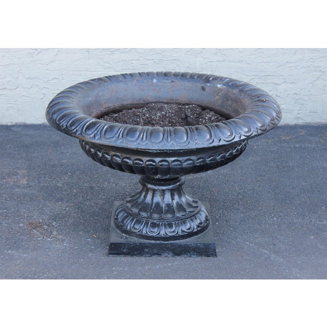 Large Cast Iron Pair Of Garden Urn Planters For Sale - Image 14 of 18