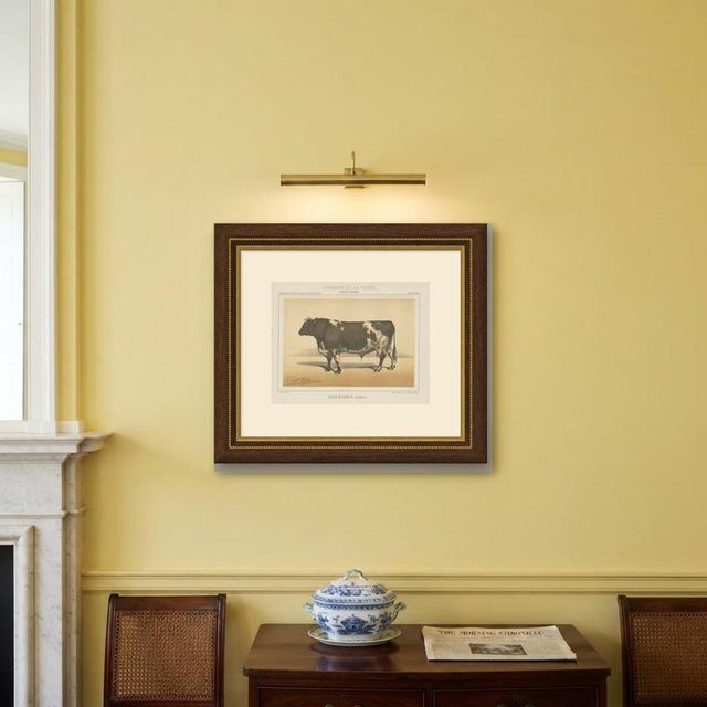 Paper Olivier De Penne, Durham Shorthorn Bull, British Cattle, 1863, Chromolithograph For Sale - Image 7 of 9