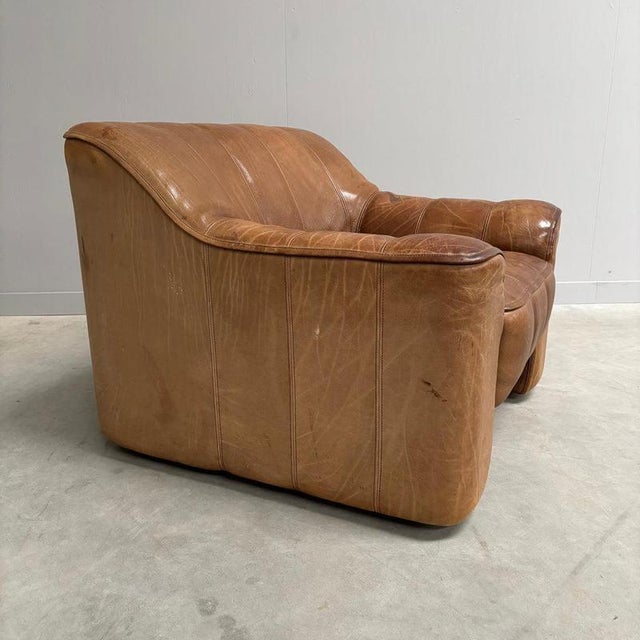 Vintage DS44 Lounge Chair from de Sede, 1970s For Sale - Image 12 of 15