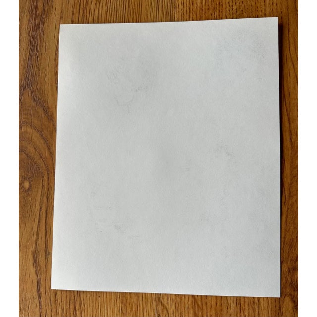 Traditional Nancy Smith Original Botanical Pencil Drawing For Sale - Image 3 of 4