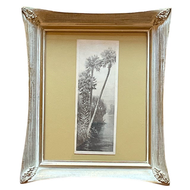 A beautifully evocative pair of vintage black-and-white photographs depicting classic Old Florida landscapes, likely...