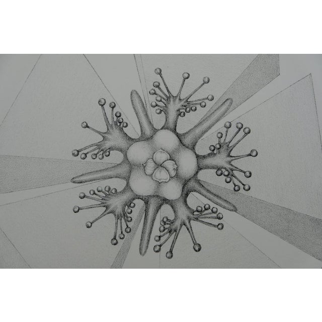 Contemporary Gochka Charewicz, Fleur triangulaire, Lithograph For Sale - Image 3 of 7