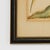 William IV Framed Antique Watercolor of a Parrot For Sale - Image 3 of 8