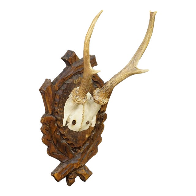 Antique Black Forest Red Deer Trophy on Carved Plaque Ca. 1930s For Sale