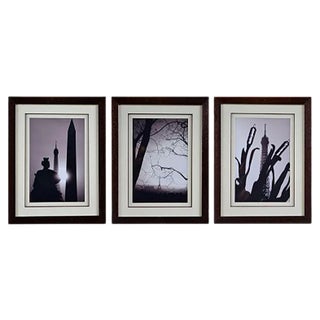 Photograph Tryptic of Paris Eiffel Tower attributed to Antonio Brigandí, Set of 3 For Sale