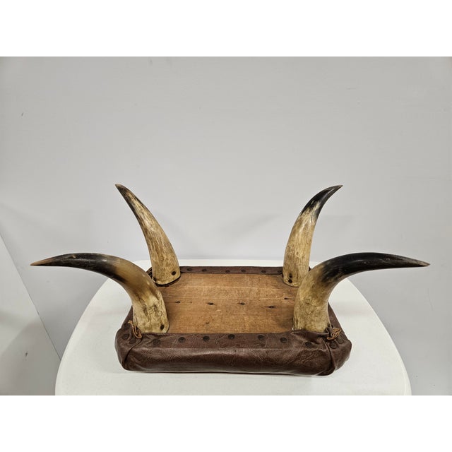 Southwest Horn and Leather Footstool For Sale - Image 10 of 17