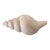 Vintage Resin Shell Sculpture For Sale