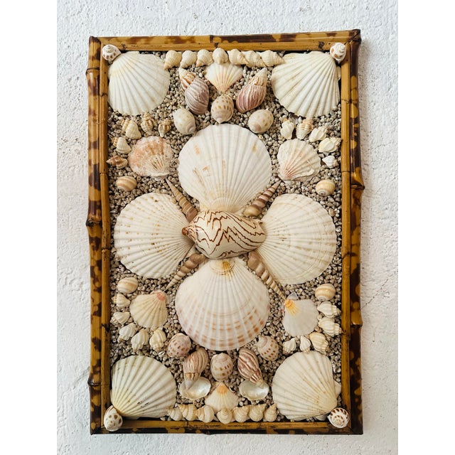 This exquisite shellwork panel features a meticulously arranged collection of natural seashells displayed within a faux...