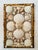 This exquisite shellwork panel features a meticulously arranged collection of natural seashells displayed within a faux...