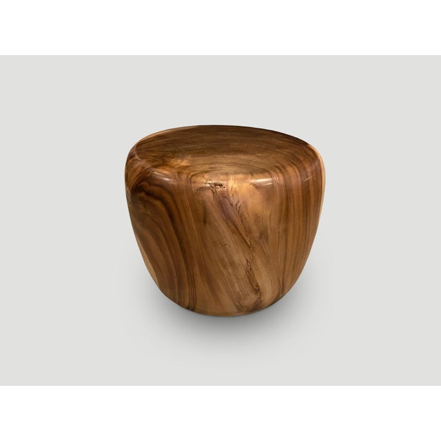 Andrianna Shamaris Drum Shape Suar Wood Coffee Table or Side Table For Sale - Image 17 of 18