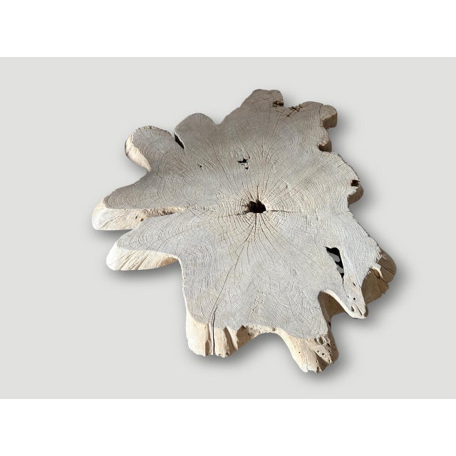 Andrianna Shamaris Amorphous Mid Century Style Bleached Coffee Table For Sale In New York - Image 6 of 6