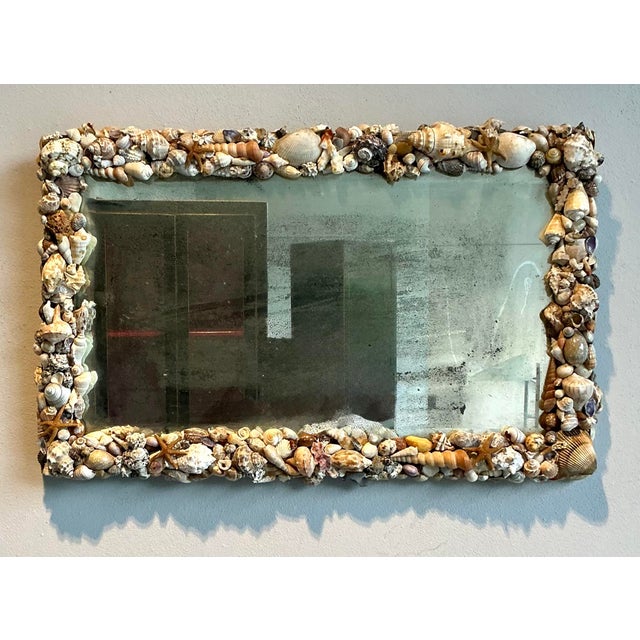 Vintage Coastal Shell Encrusted Mirror For Sale In West Palm - Image 6 of 7