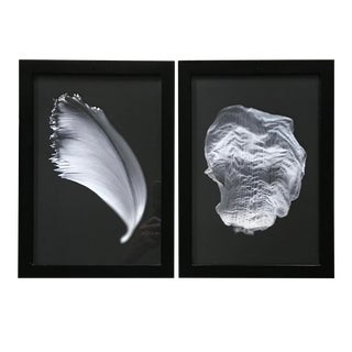 388a John McKinnon Black and White Giclée Framed Photos - Set of 2 For Sale